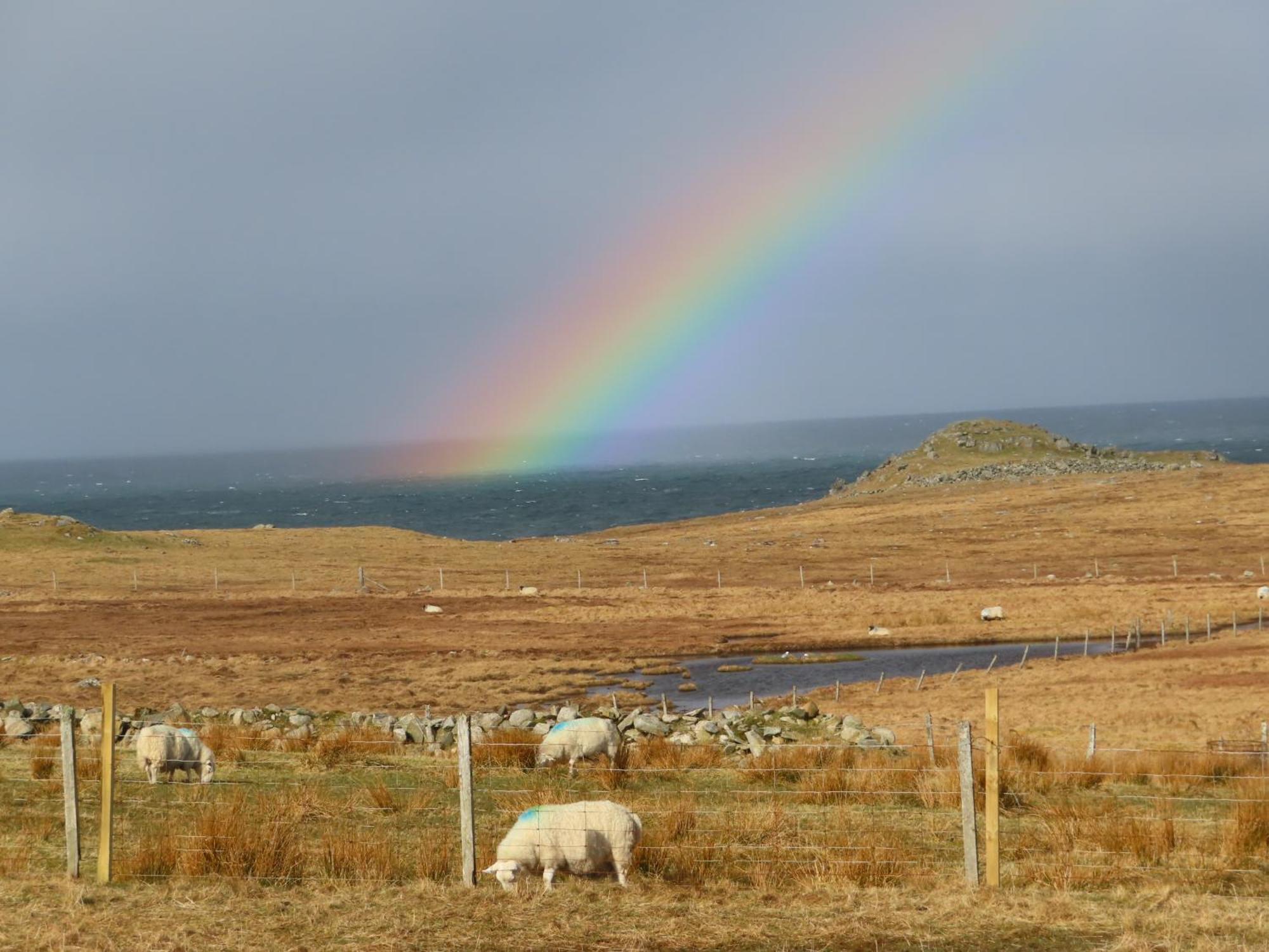 Squealing Pig Bothy Villa Barvas Exterior photo
