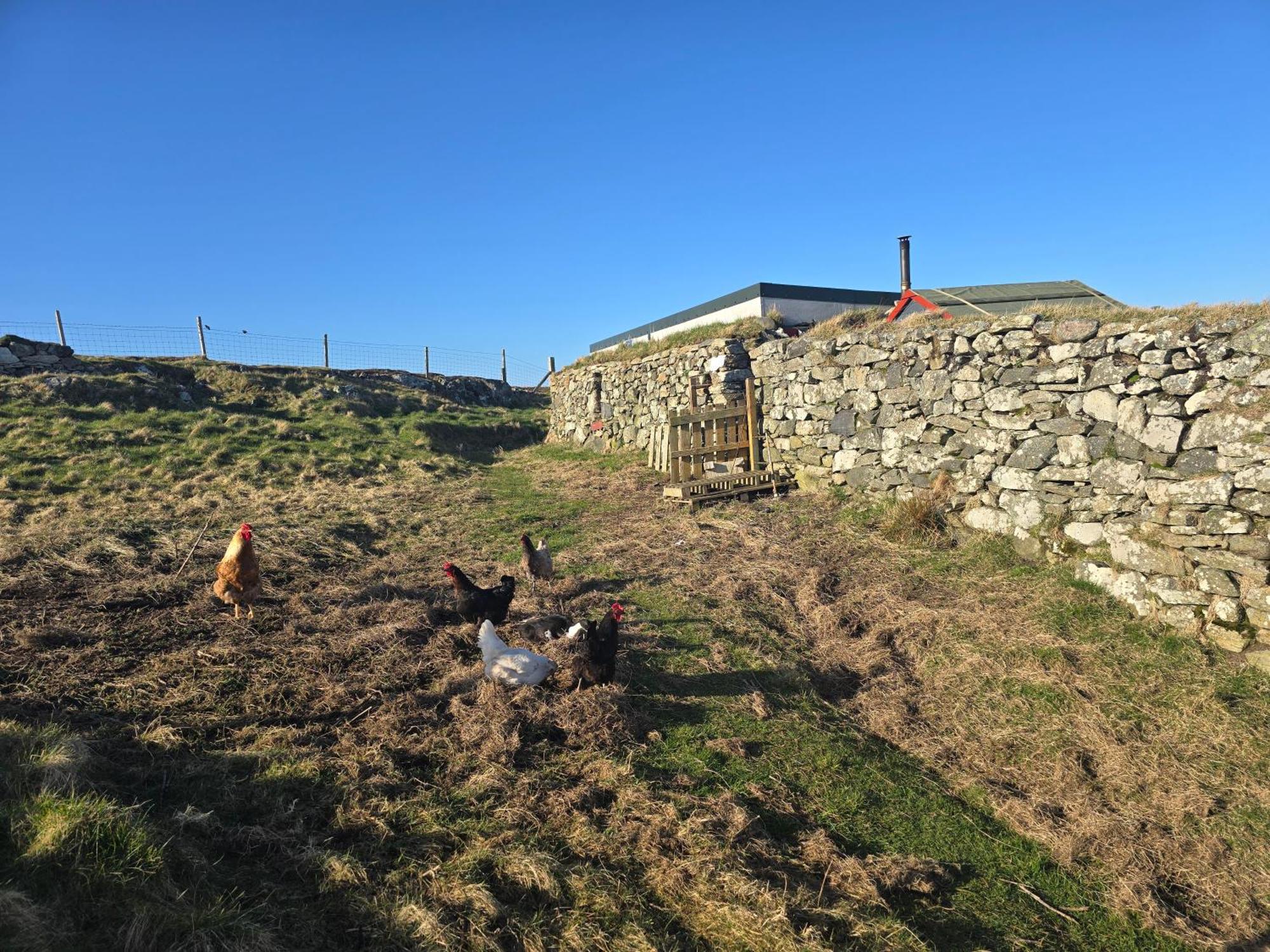 Squealing Pig Bothy Villa Barvas Exterior photo