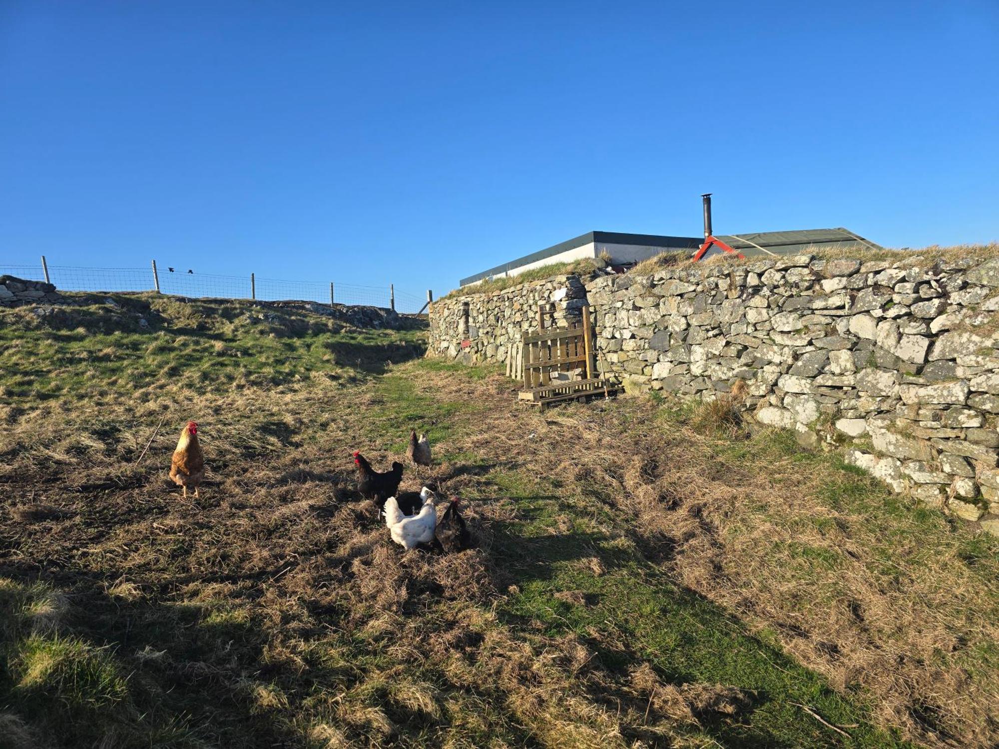 Squealing Pig Bothy Villa Barvas Exterior photo